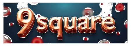 9square logo